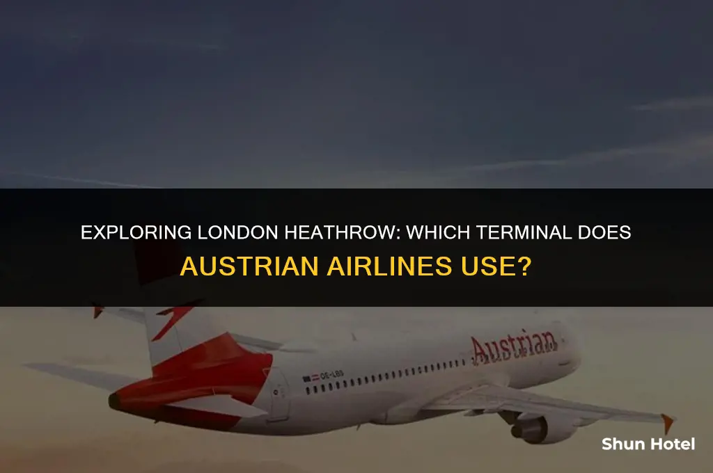 what terminal is austrian airline london heathrow airport