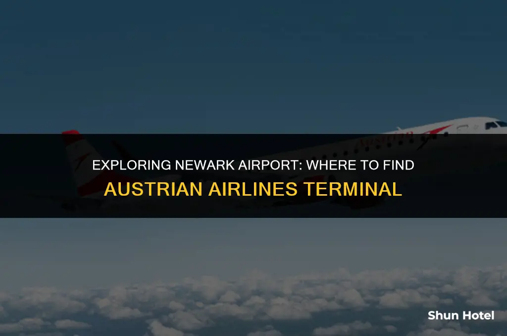 what terminal is austrian airlines at newark airport