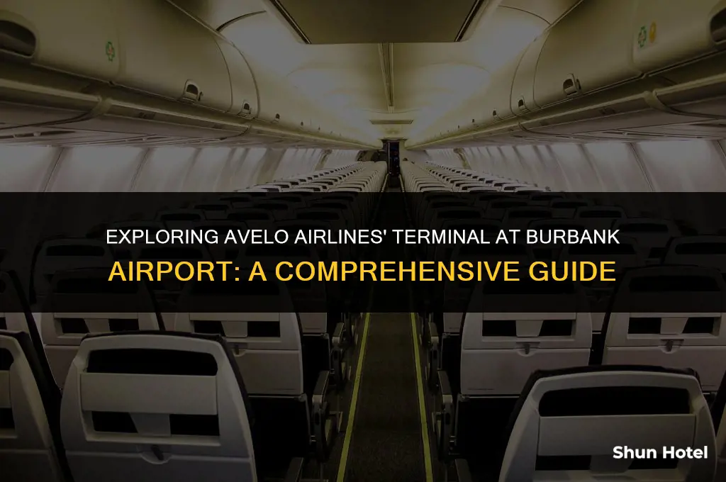 what terminal is avelo airlines at burbank airport