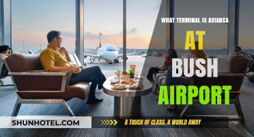 Avianca's Terminal at Bush Airport: Your Complete Guide
