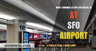 Where to Find Avis Car Rental at SFO Airport: Terminal Guide