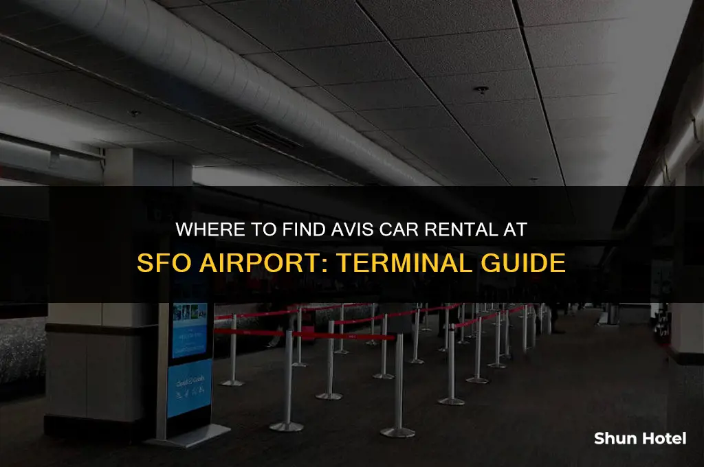 what terminal is avis car rental in at sfo airport