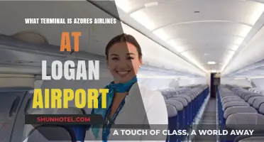 Azores Airlines Terminal at Logan: Your Complete Guide
