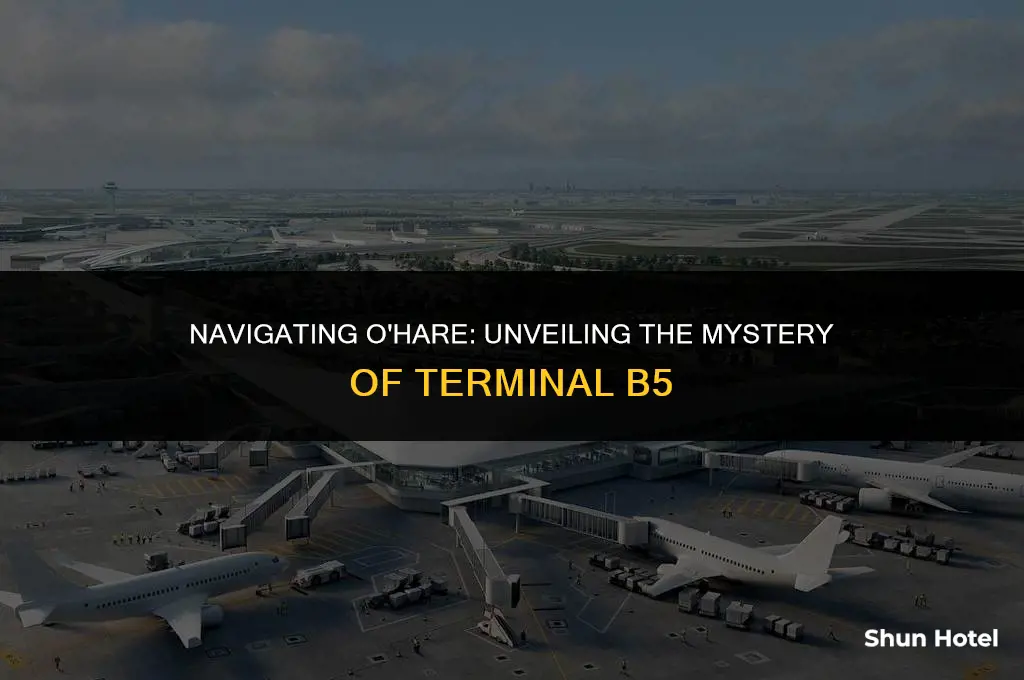 what terminal is b5 at o o