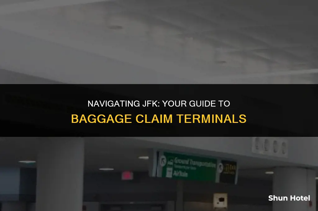 what terminal is baggage claim in jfk airport