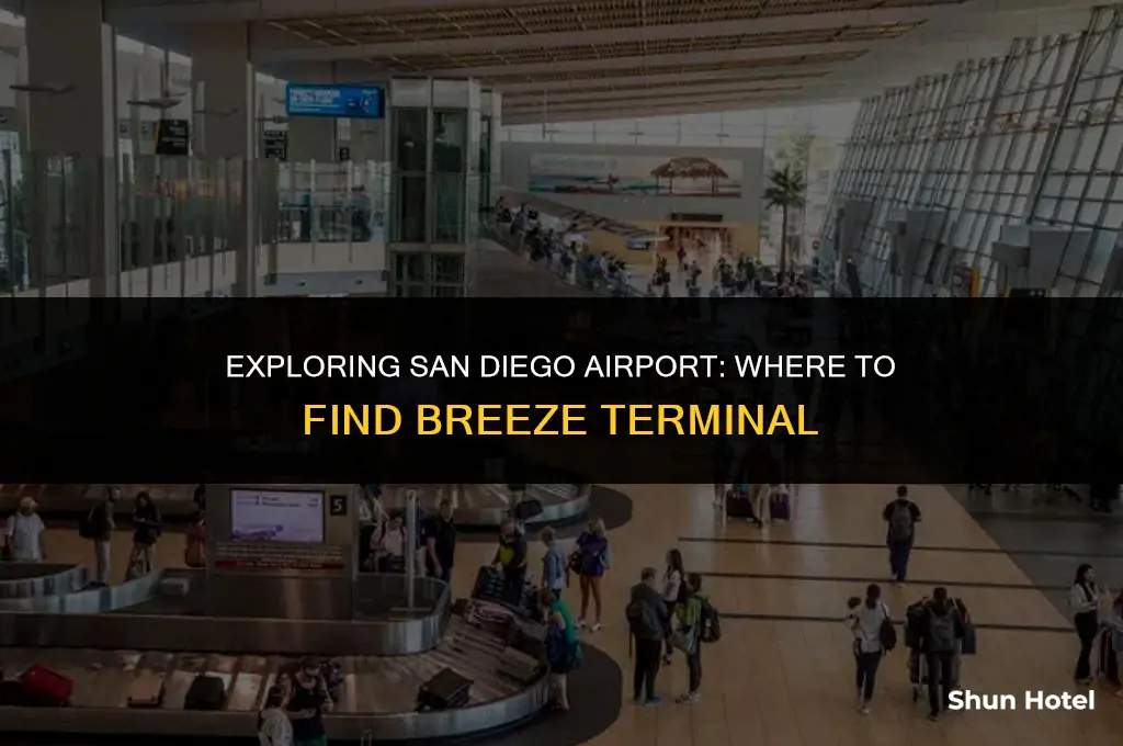 what terminal is breeze at san diego airport