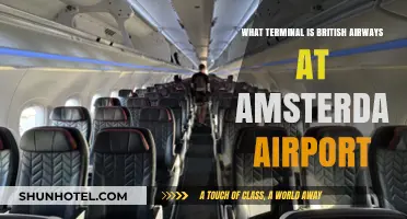 Exploring Amsterdam Airport: British Airways Terminal Guide