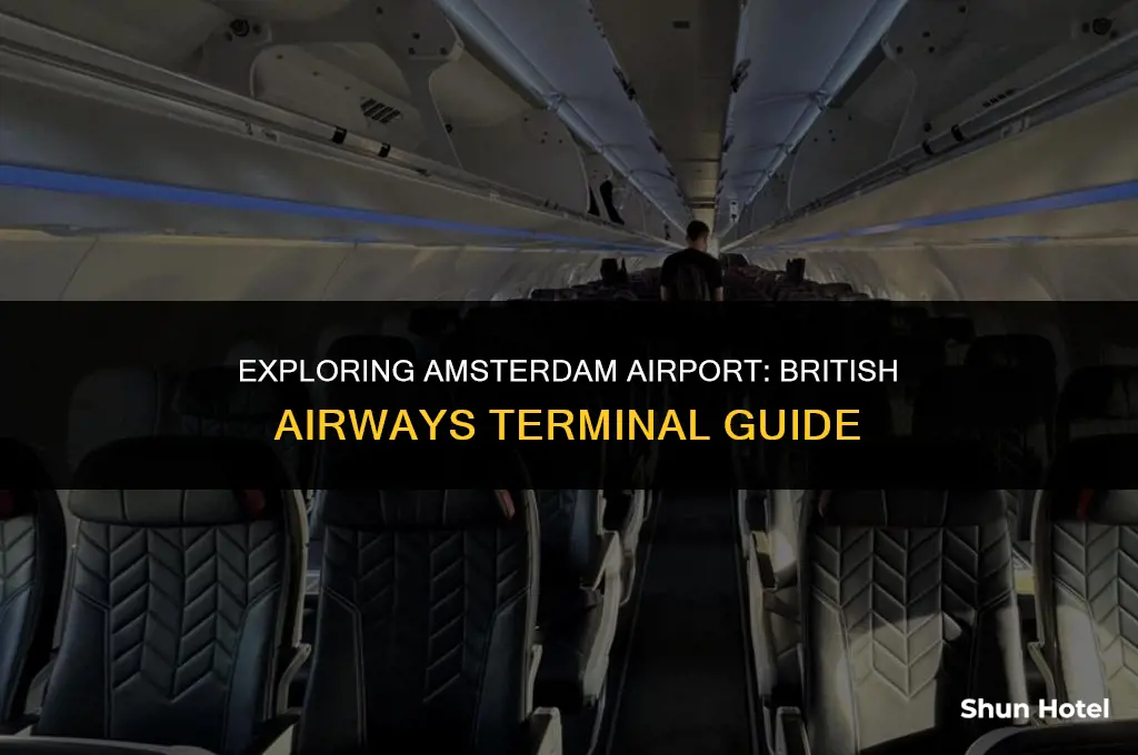 what terminal is british airways at amsterdam airport