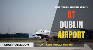 Discovering British Airways' Terminal at Dublin Airport: A Traveler's Guide
