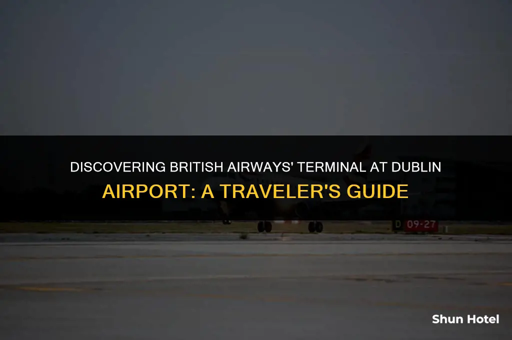 what terminal is british airways at dublin airport