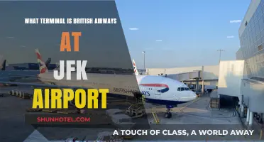 Exploring JFK: British Airways' Terminal Guide for Travelers