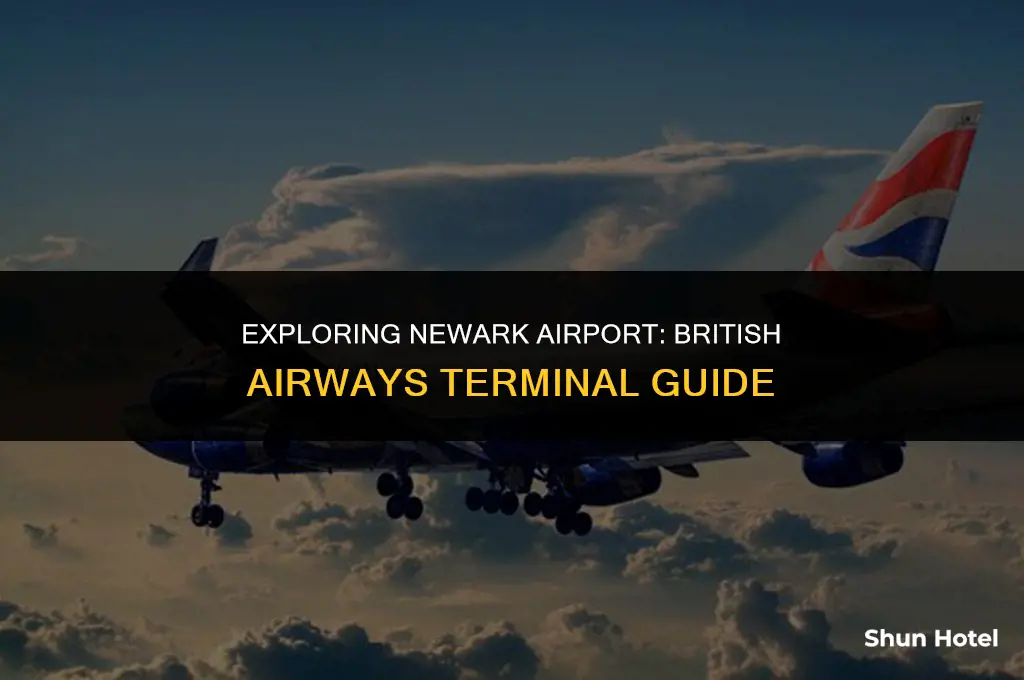 what terminal is british airways at newark airport