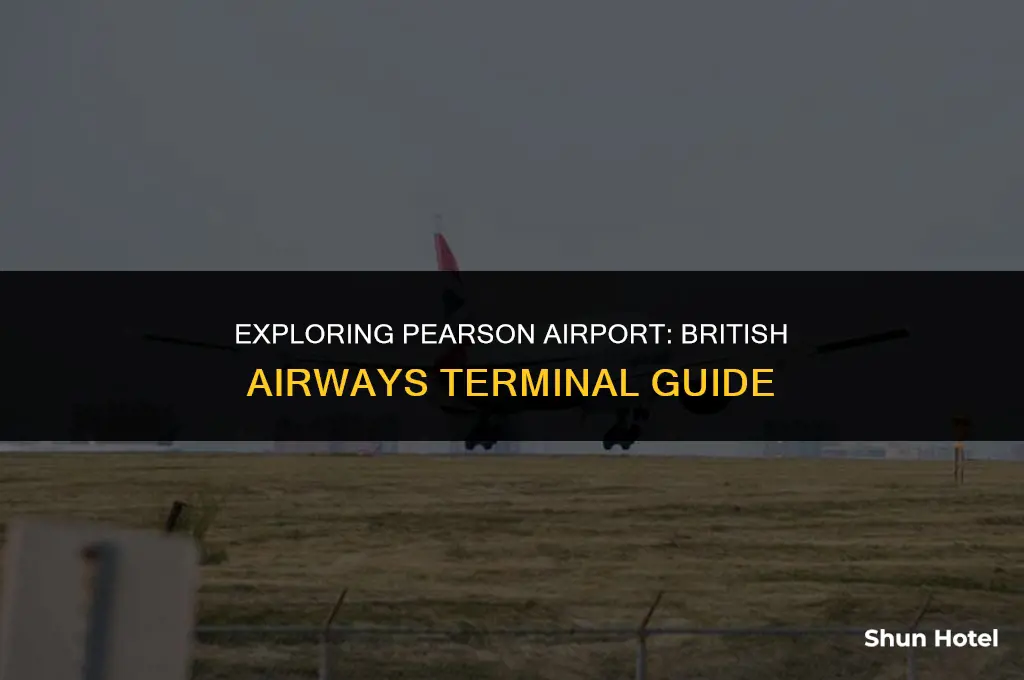 what terminal is british airways at pearson airport
