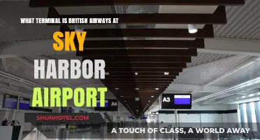Exploring Sky Harbor: British Airways Terminal Guide