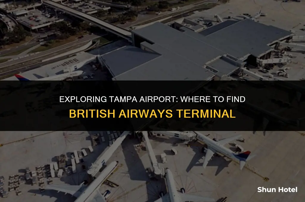 what terminal is british airways at tampa airport