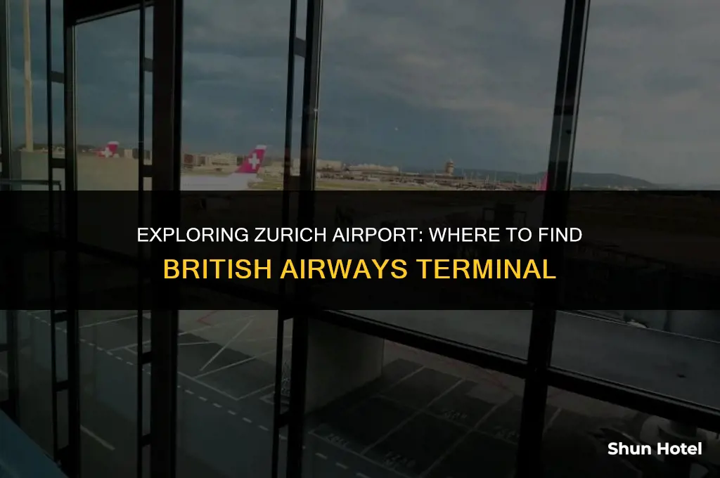what terminal is british airways at zurich airport