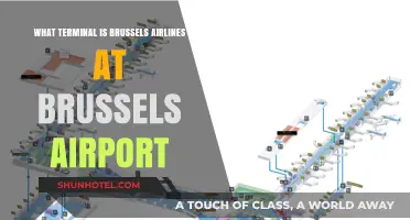 Brussels Airlines Terminal at Brussels Airport: Your Complete Guide