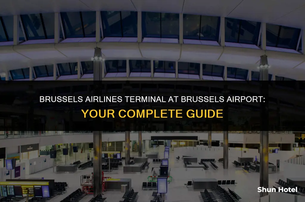what terminal is brussels airlines at brussels airport