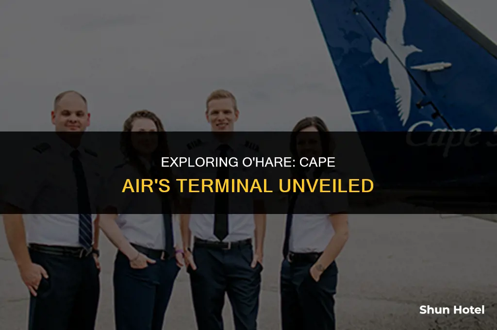 what terminal is cape air o