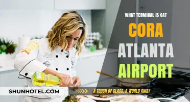 Exploring Atlanta Airport: Where to Find Cat Cora's Terminal