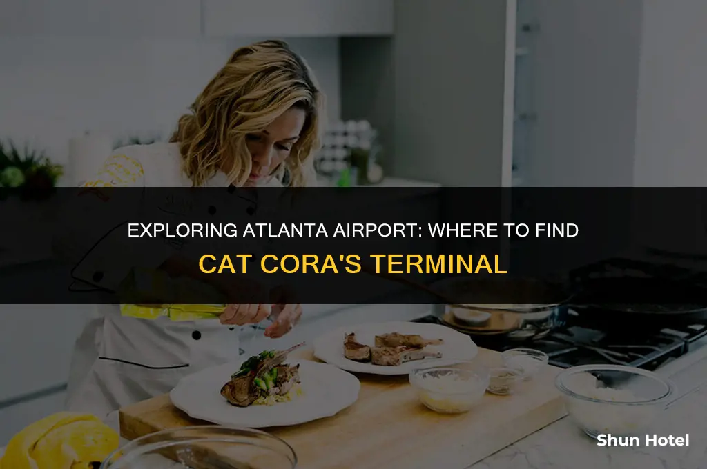 what terminal is cat cora atlanta airport