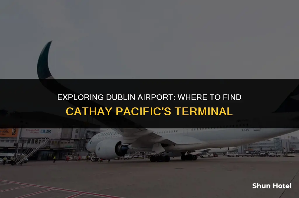 what terminal is cathay pacific in dublin airport