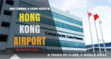 Exploring Hong Kong Airport: Cathay Pacific's Terminal Guide