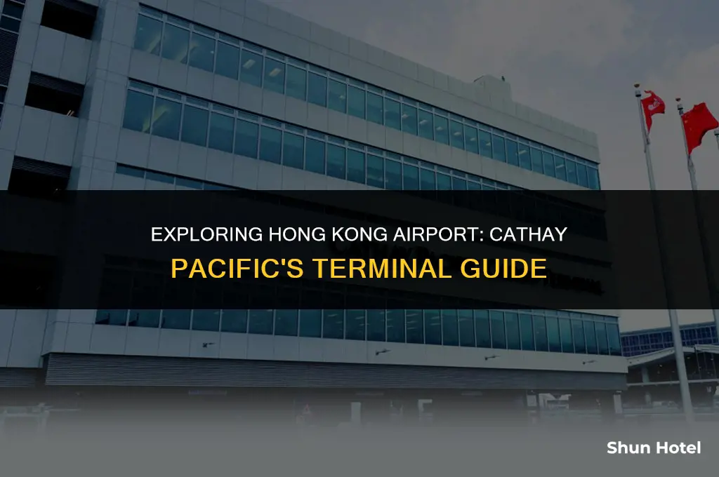 what terminal is cathay pacific in hong kong airport