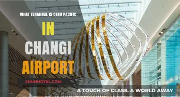 Exploring Changi: Cebu Pacific's Terminal Guide