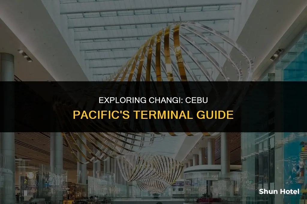what terminal is cebu pacific in changi airport