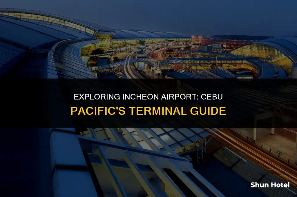 what terminal is cebu pacific in incheon airport