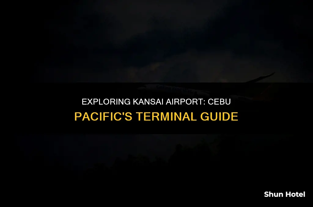 what terminal is cebu pacific in kansai airport