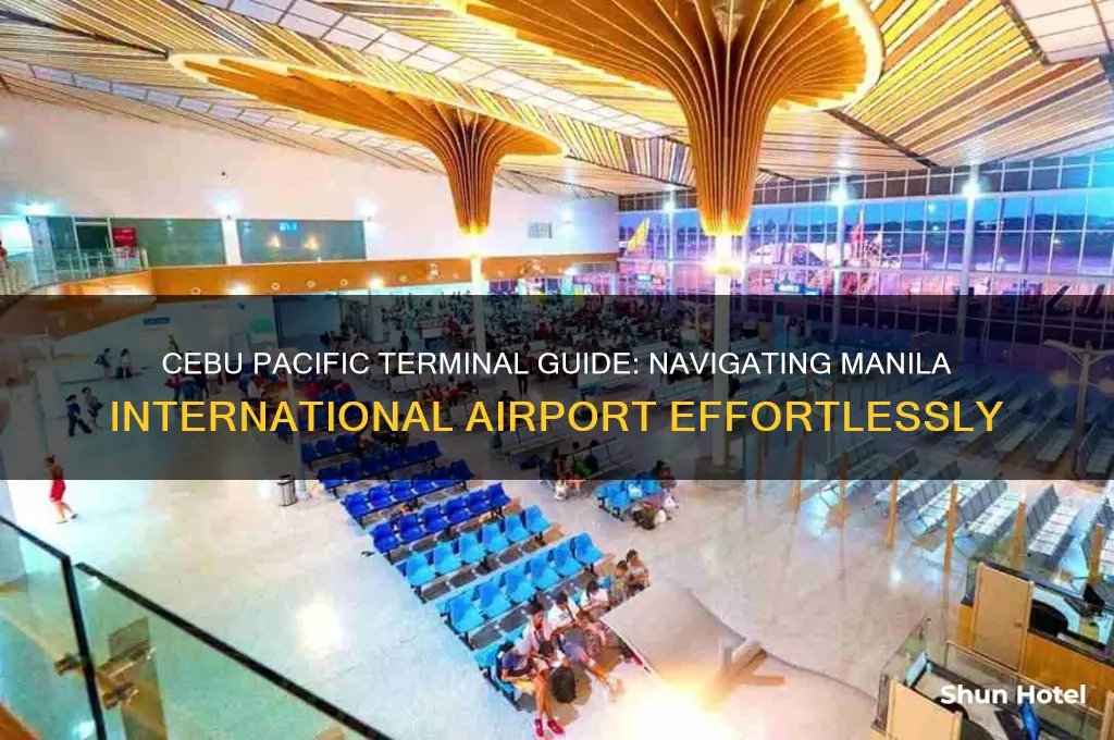 what terminal is cebu pacific in manila international airport