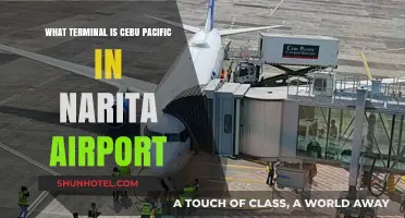 Exploring Narita: Cebu Pacific's Terminal Guide for Travelers