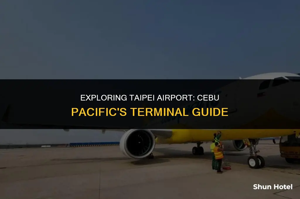 what terminal is cebu pacific in taipei airport