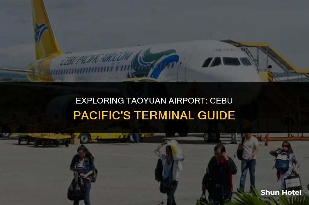 what terminal is cebu pacific in taoyuan airport