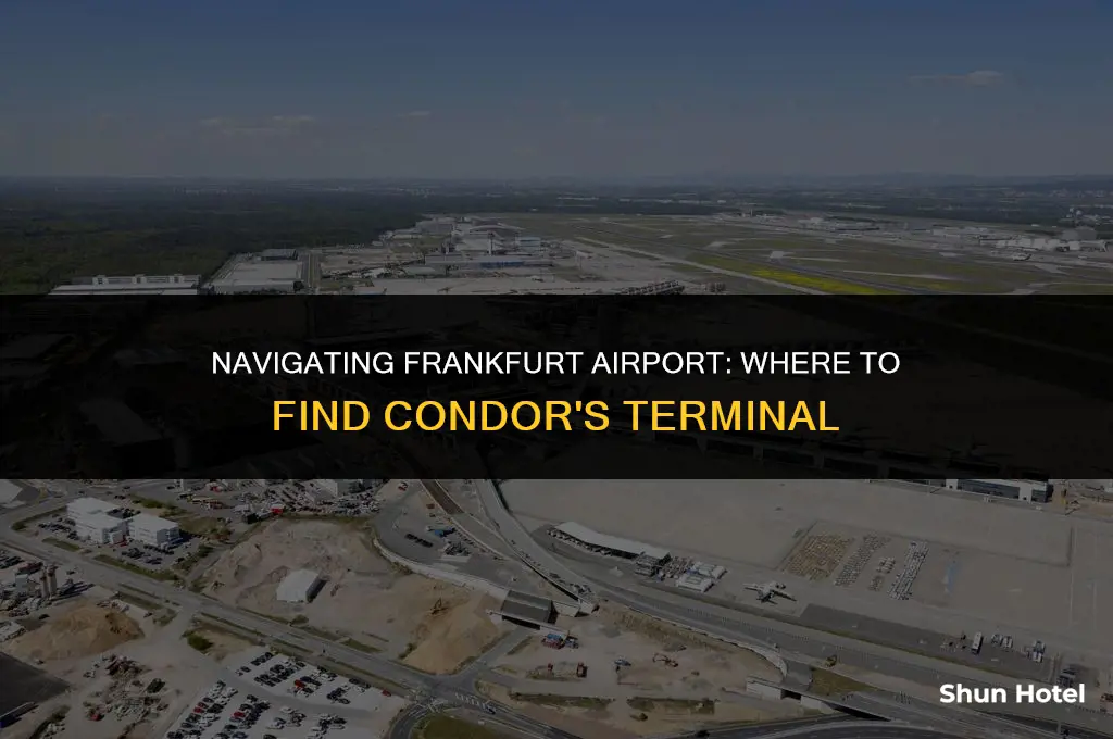 what terminal is condor at frankfurt airport