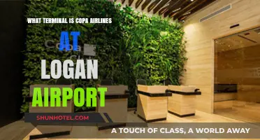 Copa Airlines Terminal at Logan Airport: Your Complete Guide