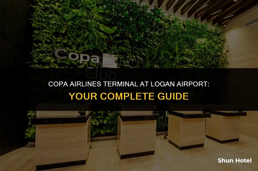 what terminal is copa airlines at logan airport