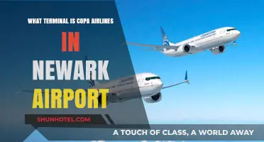 Copa Airlines Terminal Guide: Navigating Newark Airport with Ease