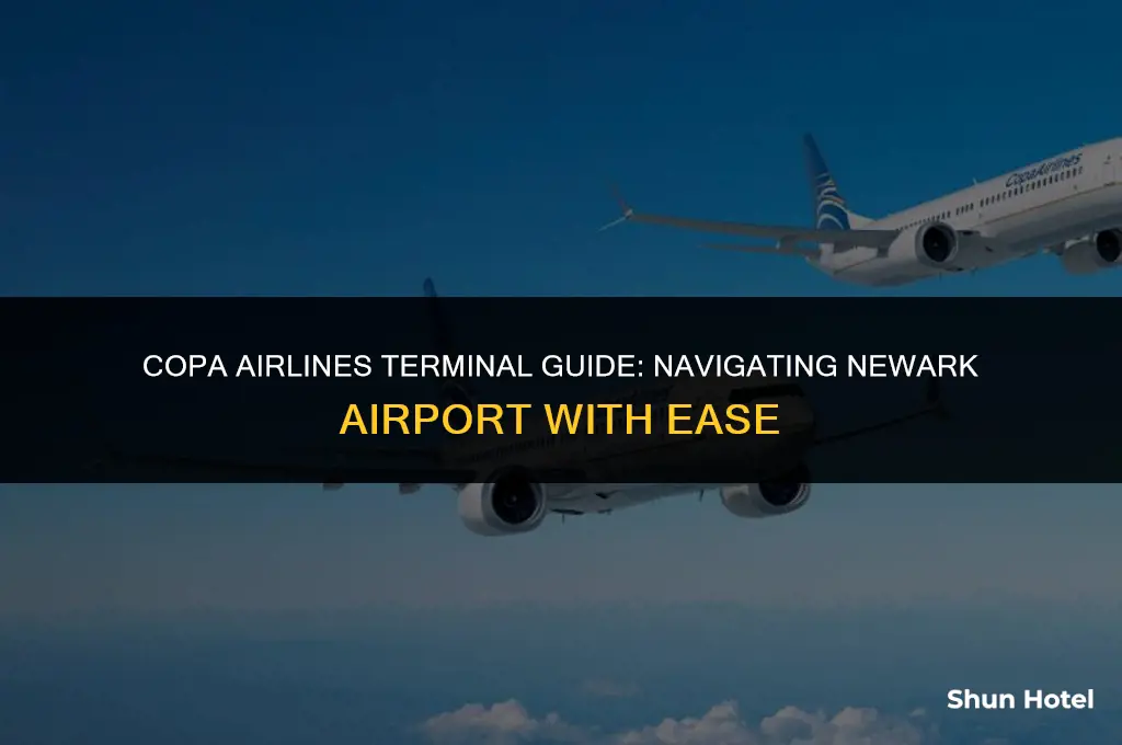 what terminal is copa airlines in newark airport