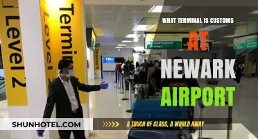 Navigating Newark Airport: Your Guide to Customs Terminal Location