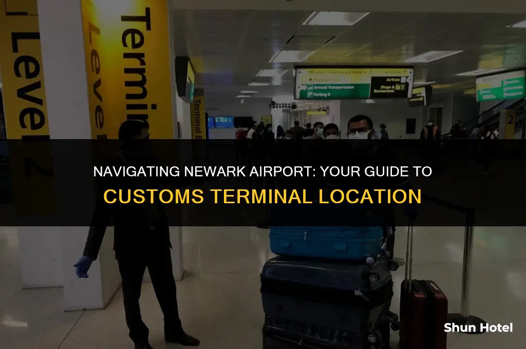what terminal is customs at newark airport