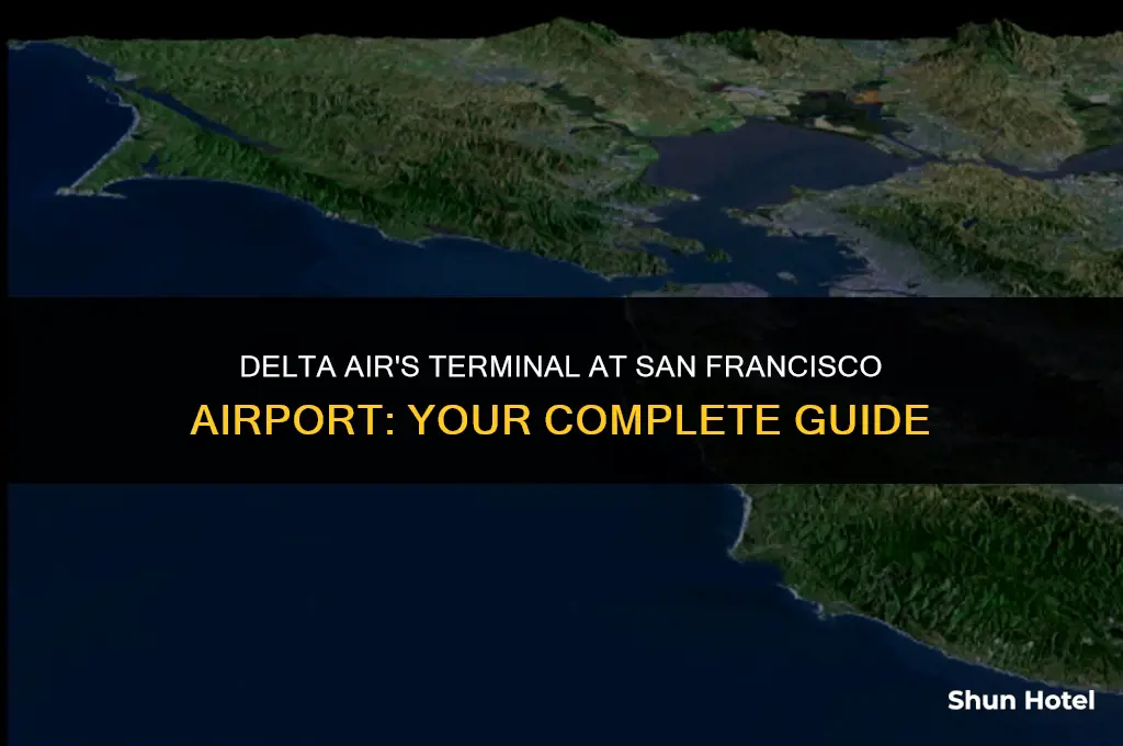 what terminal is delta air at in san francisco airport