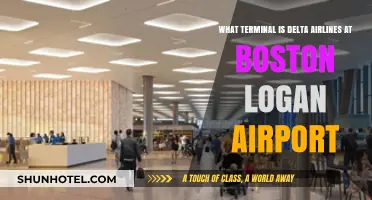Delta Airlines Terminal at Boston Logan Airport: Your Guide