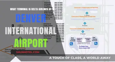 Delta Airlines Terminal Guide: Navigating Denver International Airport with Ease
