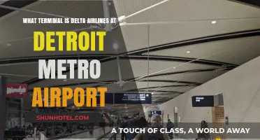 Delta's Detroit Metro Airport Terminal: Your Complete Guide