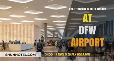 Delta Airlines Terminal Guide: Navigating DFW Airport with Ease