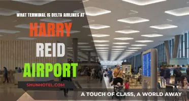 Delta Airlines Terminal at Harry Reid Airport: Your Complete Guide