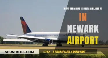 Delta Airlines' Newark Airport Terminal: Your Complete Guide